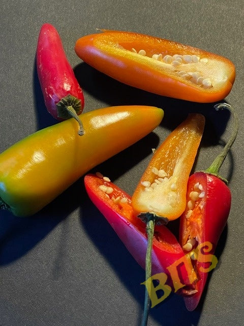 chillies3