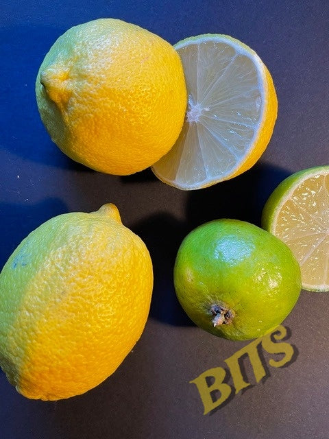 lemons1