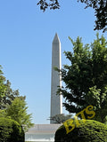 washington7