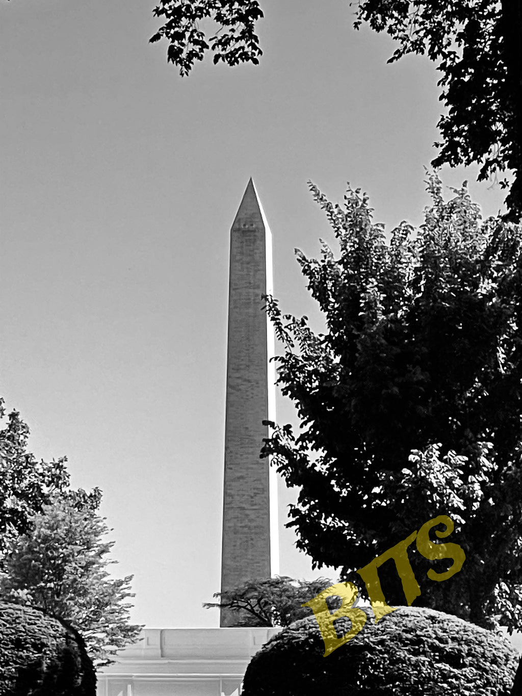 washington8