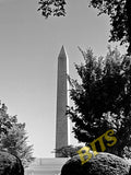 washington8