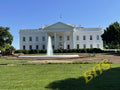 whitehouse7