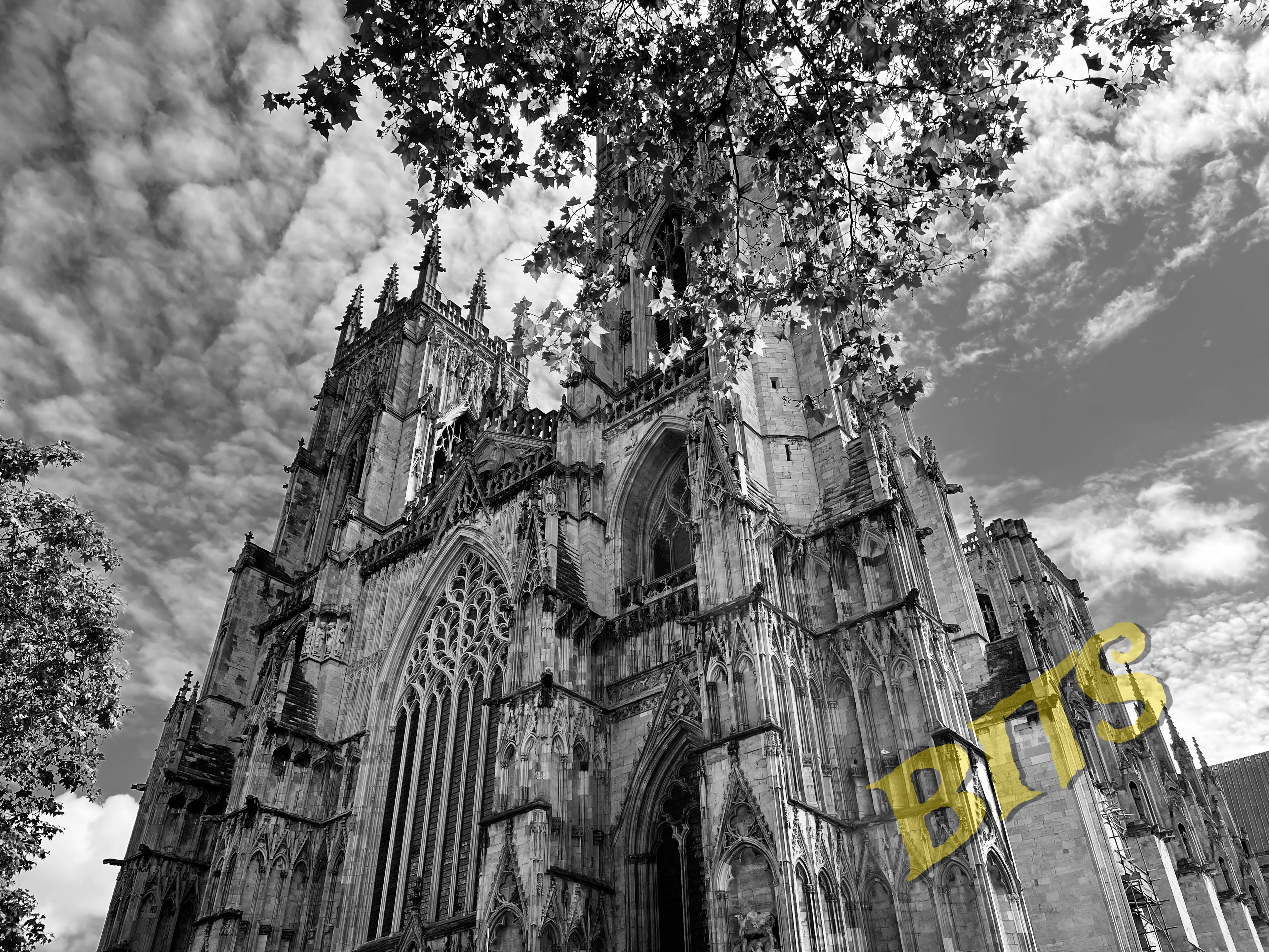 yorkminster1